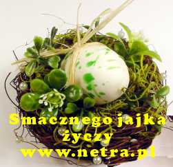 Smacznego jajka życzy www.netra.pl